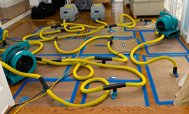 Professional Structural Drying And Dehumidification technician working in Highland, IL